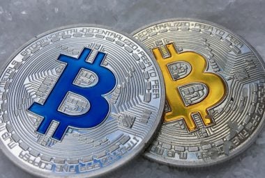Satoshi Nakamoto’s Confidant Gavin Andresen Throws Support Behind Bitcoin Cash