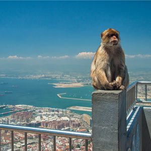 Gibraltar leads the way for the regulation of crypto and DLT companies
