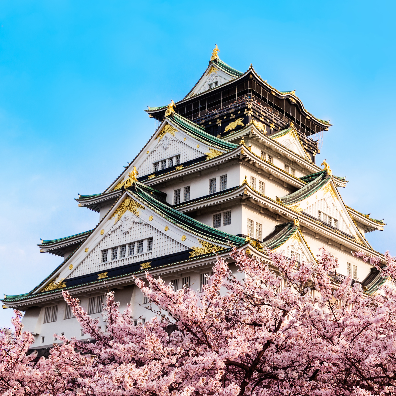 Bank of Japan: No Big Problems With Bitcoin So Far