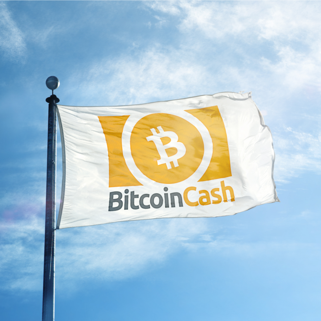 bitcoin cash zašto investirati postati bitcoin milijunaš
