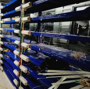 Chinese Authorities Ask Local Miners to Submit Monthly Status Reports