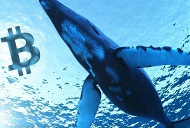 Genesis Launches Whale Sized Crypto-Loan Service
