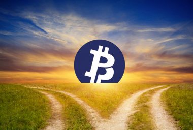 Bitcoin Private Fork Aiming to Make Bitcoin More Anonymous