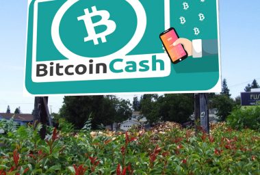 Wallet Provider Bread Adds Bitcoin Cash Support for Apple Devices
