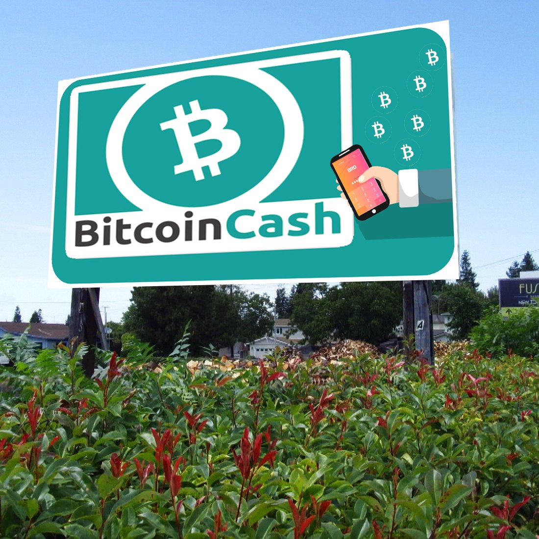 Wallet Provider Bread Adds Bitcoin Cash Support for Apple Devices