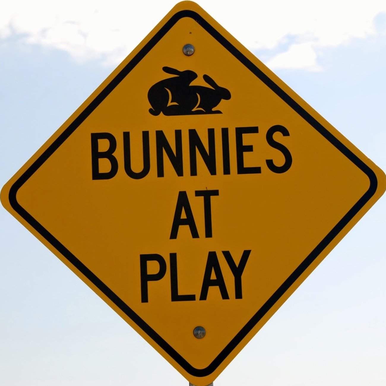 Bunny ranch forum