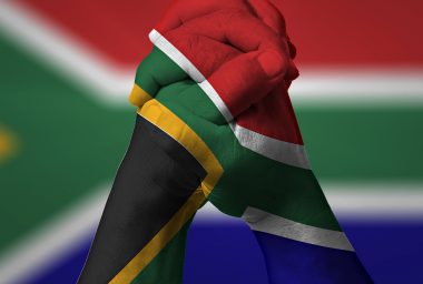 Crypto Self-Regulation Deemed Likely in South Africa