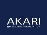 Meet Akari-Pay: The BCH-Powered Website Acquittal Belvedere 
