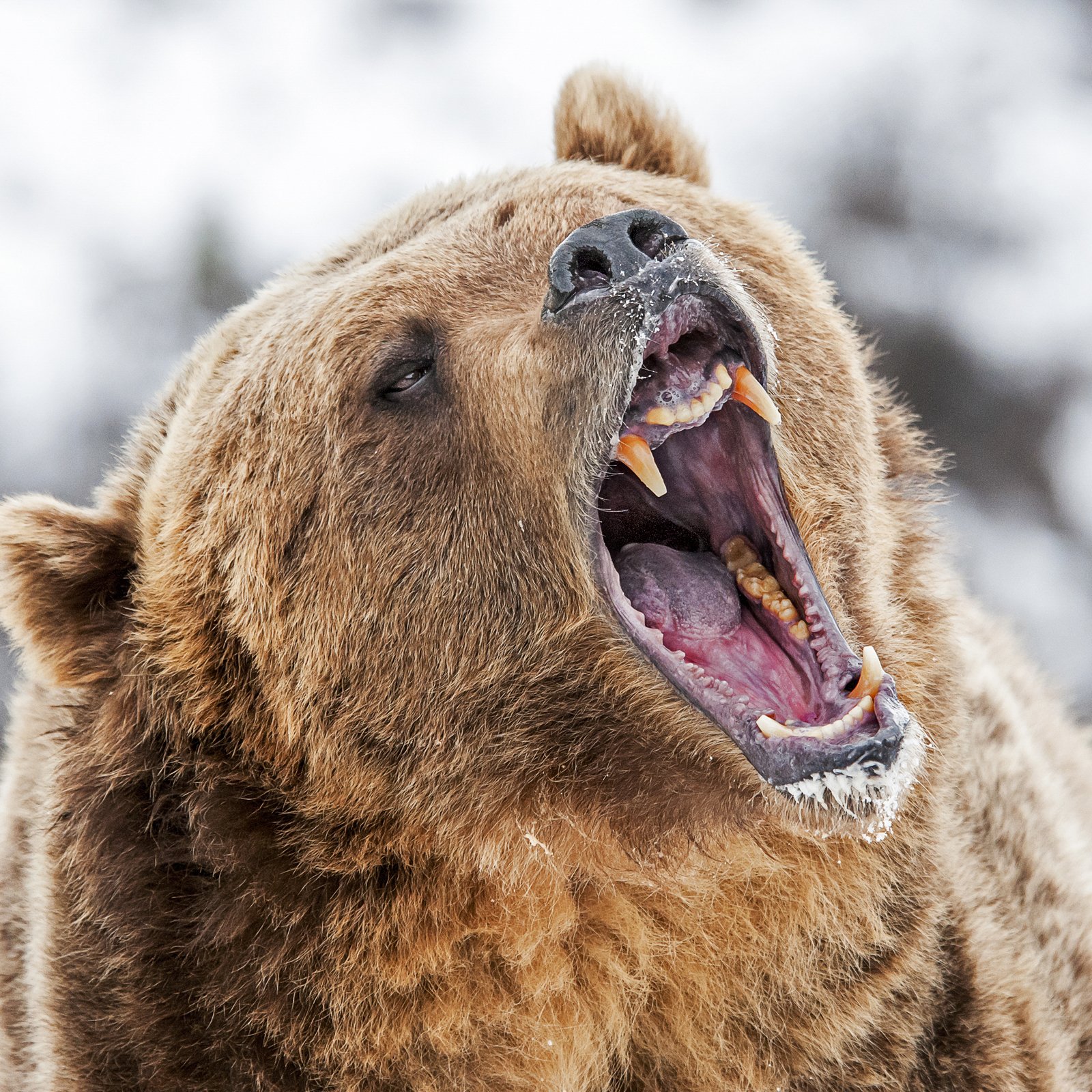 Markets Update: Bear Market Adds Cryptocurrency Trading Uncertainty