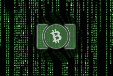 32MB Blocks Means Bitcoin Cash is Prepared for Mass Adoption