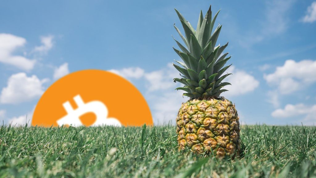 Bitcoin's Anonymous $55 Million Pineapple Fund Gives Final Donation