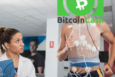 Can Bitcoin Cash Live Up to Its Hype? Real World Stress Test Is Coming