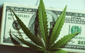 TASE Shell Aggregation Switches Plans From “Blockchain” to Cannabis