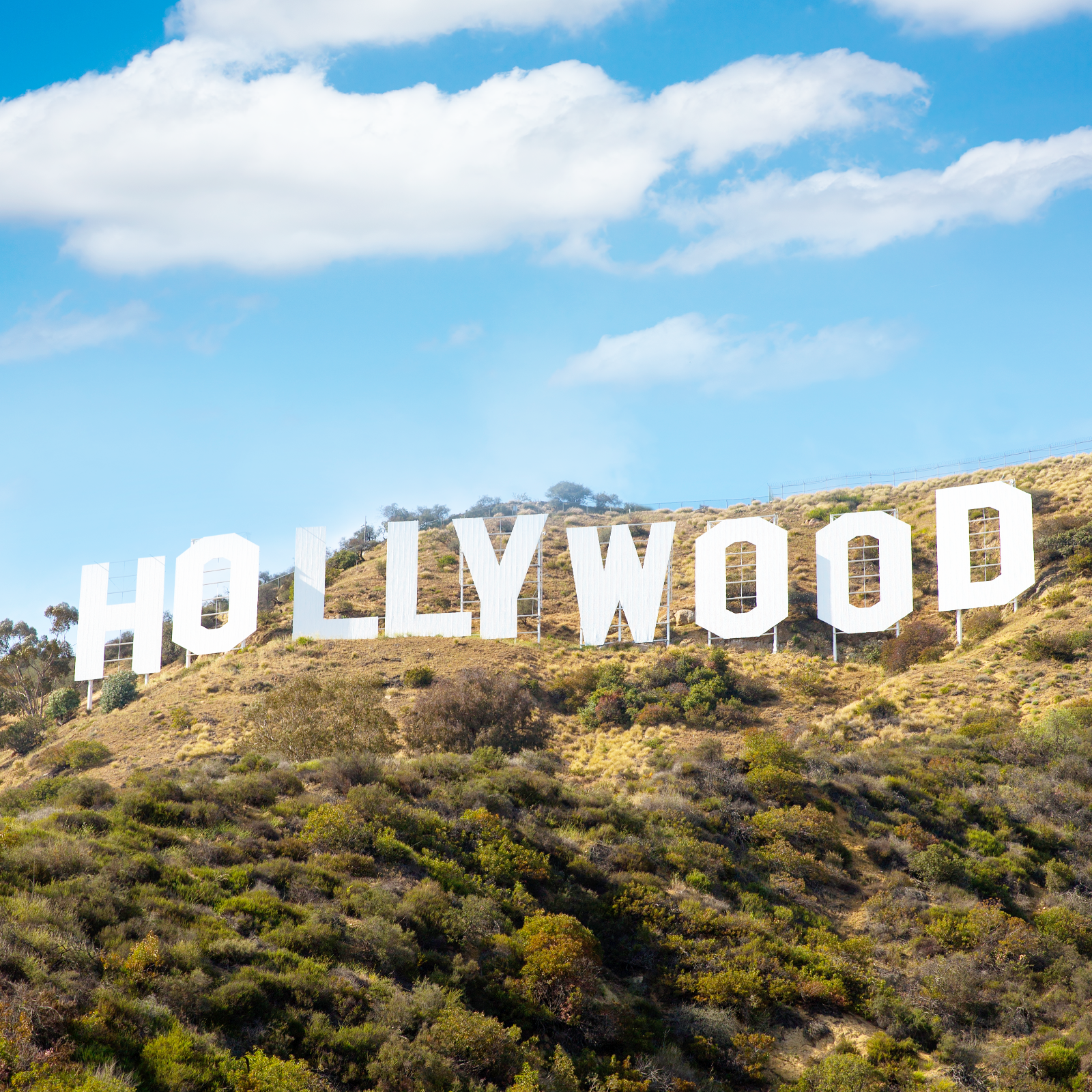 Hollywood Stars in Movie About Crypto Money Laundering