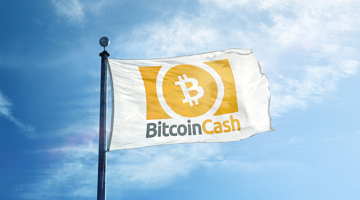 Bitcoin Cash Fans Celebrate Independence Day One Year Later