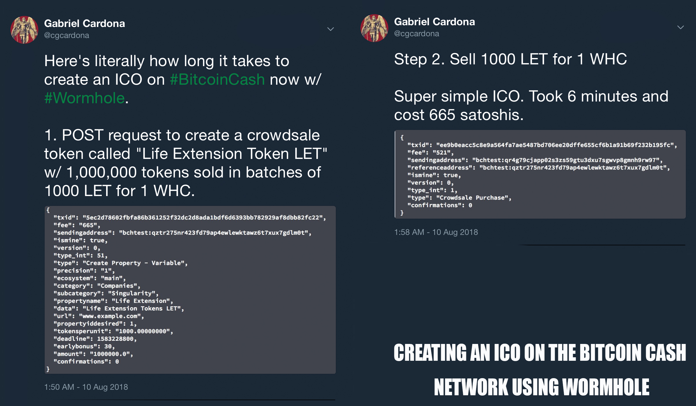 Wormhole Mainnet and Developers Guide Launched Wormhole Mainnet and Developers Guide Launched