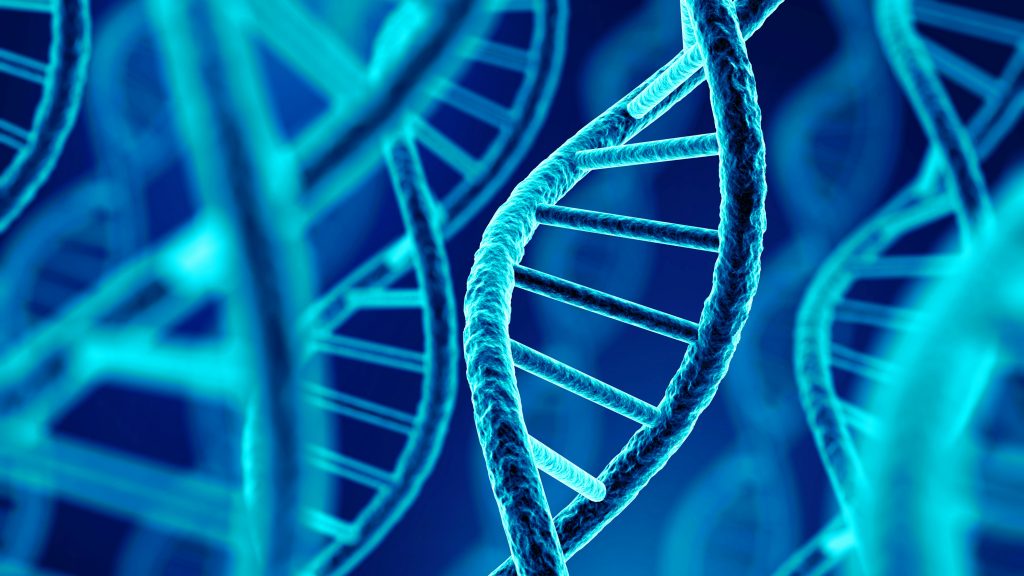 Bitcoin Cold Storage Now Available in DNA