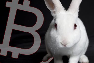 Black Hat Demo to Reveal 'White Rabbit' Crypto-Transaction Surveillance Tool