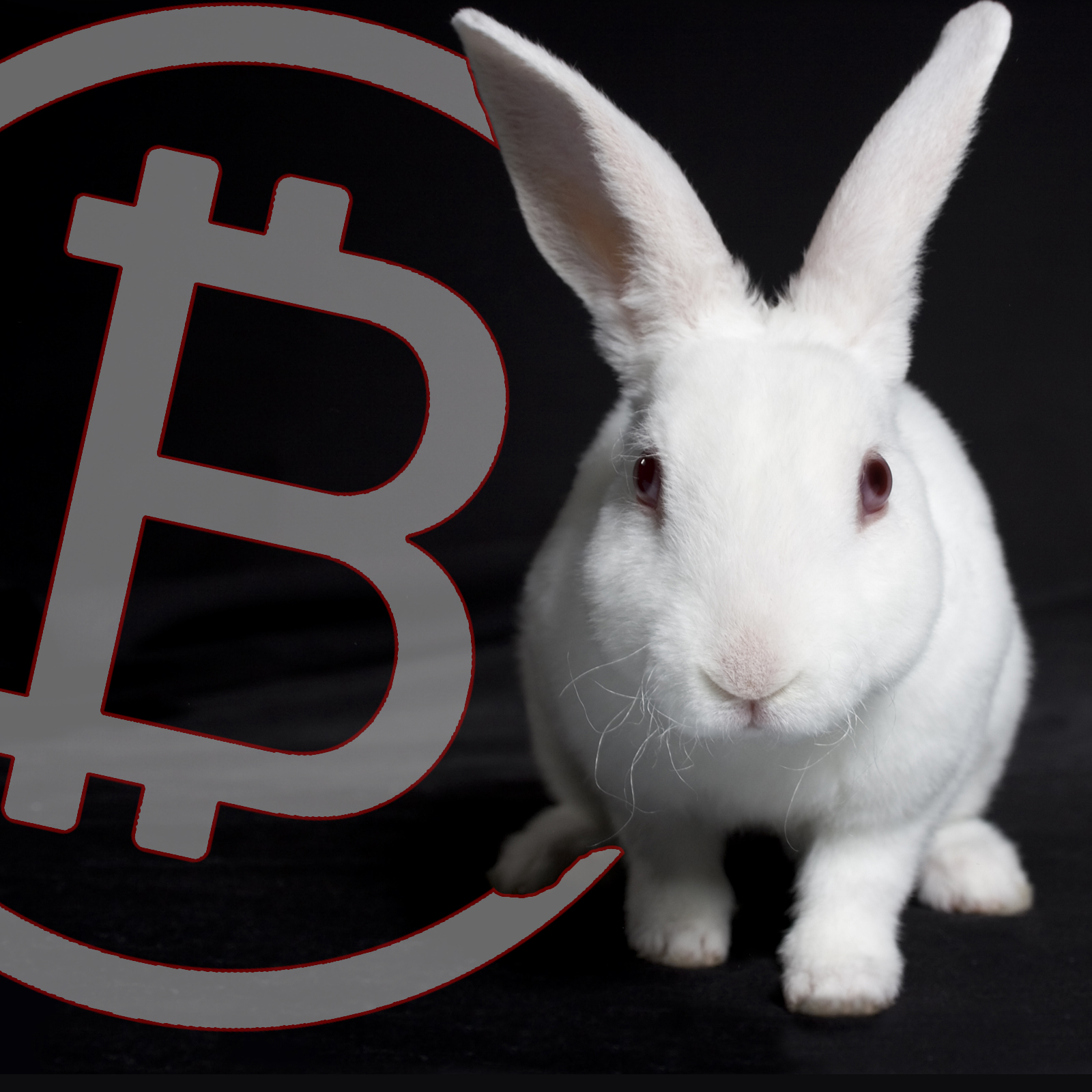 bitcoin blackhat piattaforma di pagamento crypto