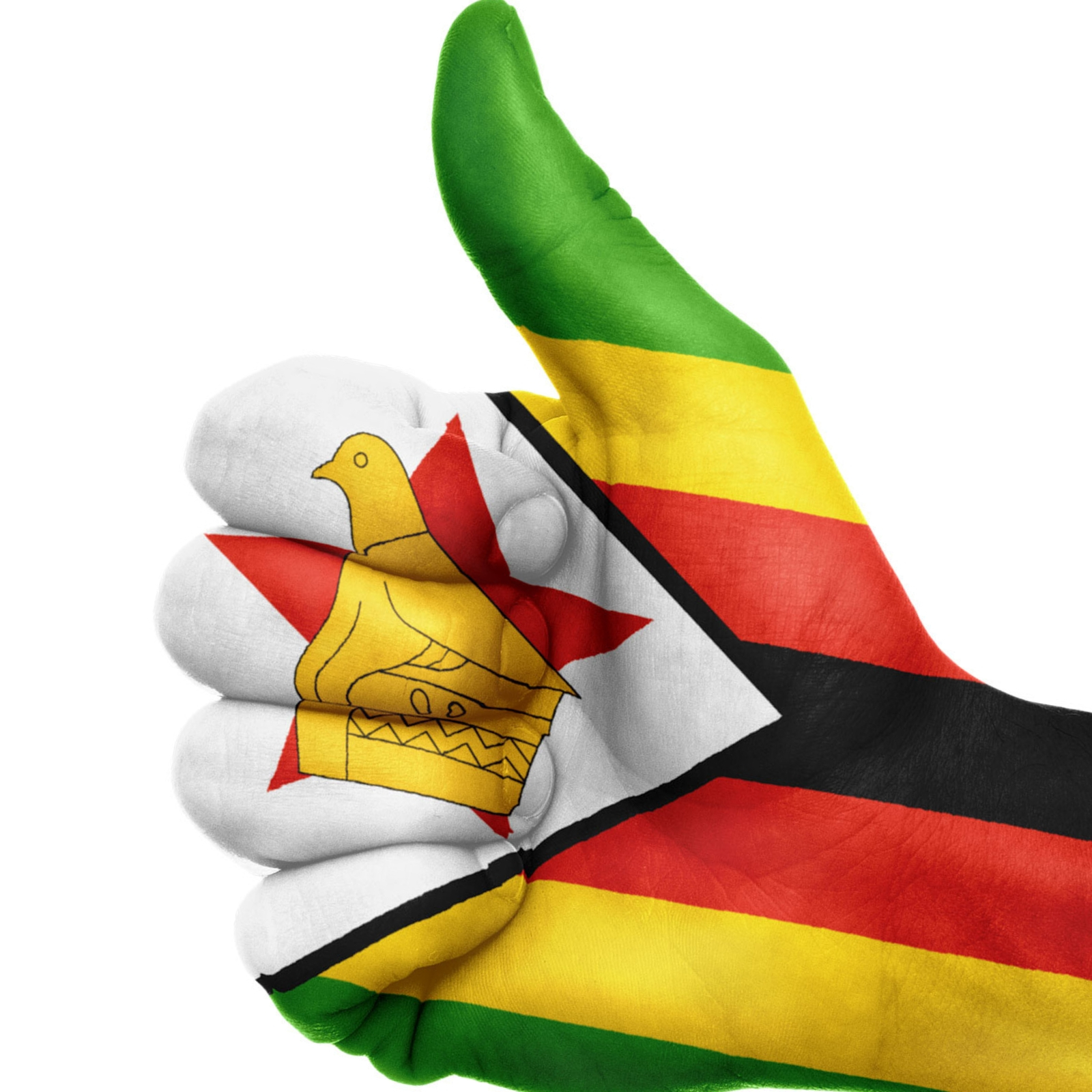 Expanding Our Global Coverage of Bitcoin - Gogo Our New Reporter in Zimbabwe