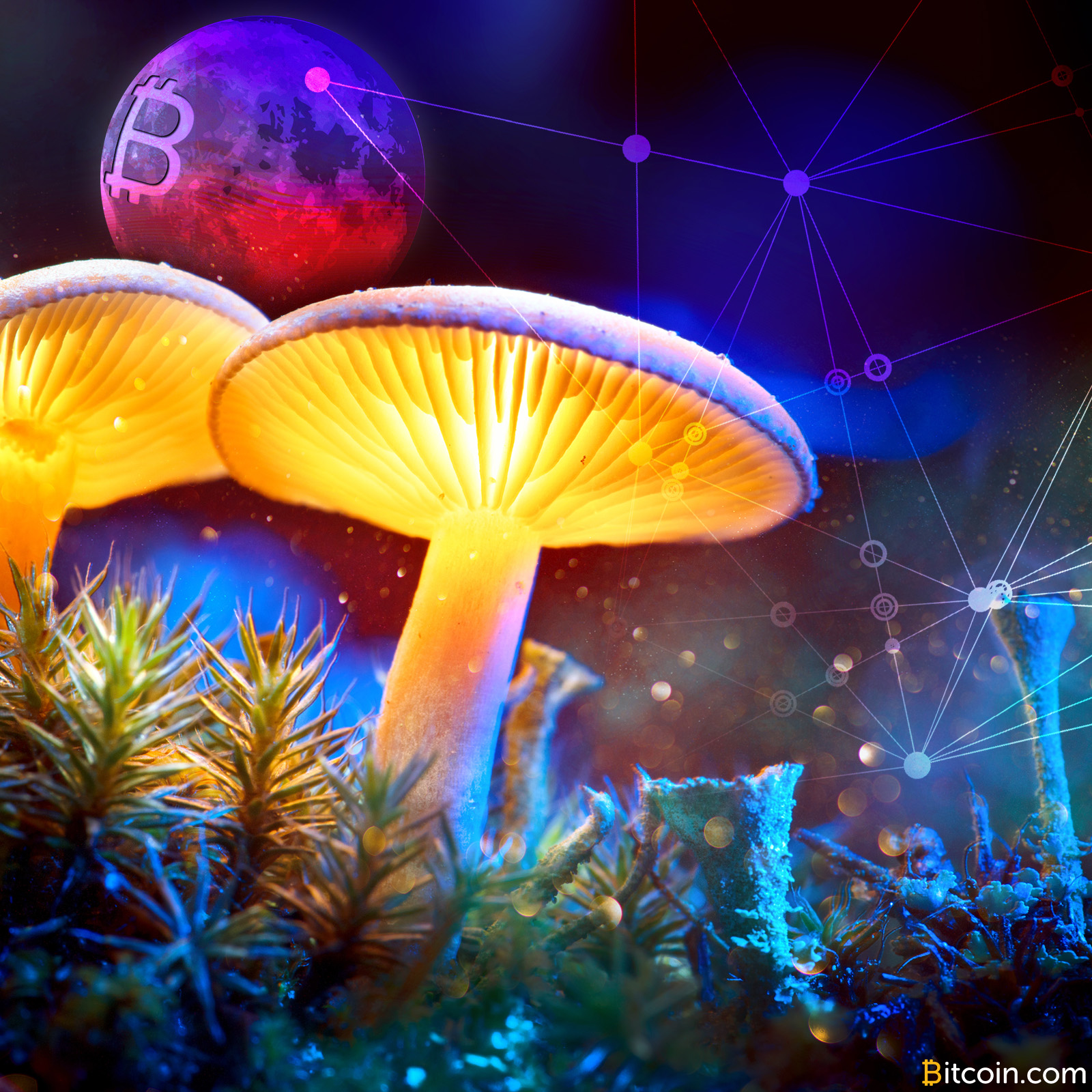Of Moonshots and Mushrooms: Let's Get Beyond Technocratic Thinking