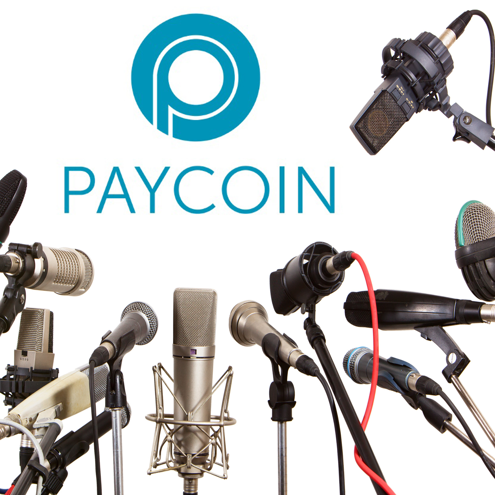 Paycoin là tài sản kỹ thuật số đầu tiên trên thế giới hỗ trợ mua xe hơi