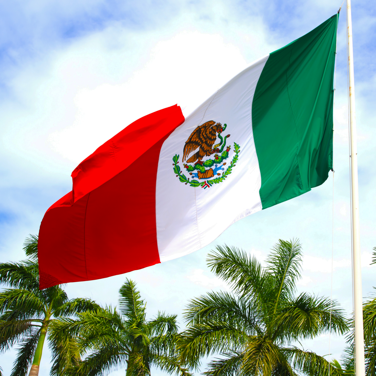 Mexico Publishes Rules for Crypto Firms, Puts Central Bank in Charge