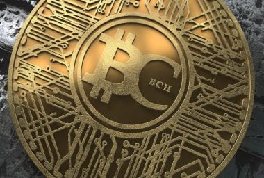 BCH Roundup: Merchant Adoption, Wallet Services, and Hackathons