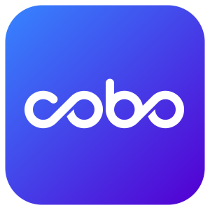 Chinese Cryptocurrency Wallet Cobo Raises $13 Actor in Series A Funding