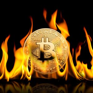 The Daily: Crashing Crypto Trader Shares Advice, Bitcoin Bandit Extradited