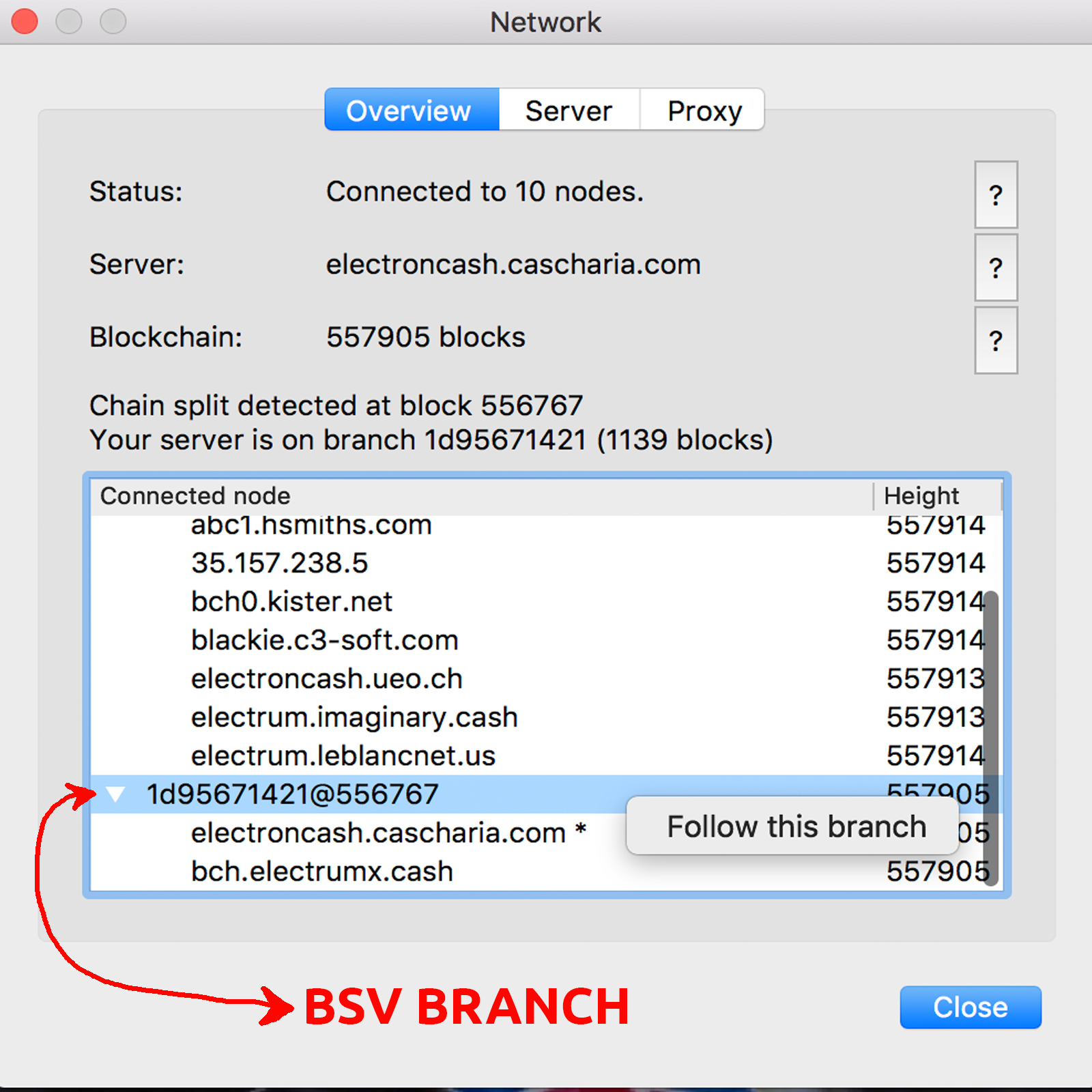 Follow This Branch: A Guide to Splitting BCH and BSV