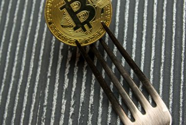 Bitcoin Cash Fork Watch: BCH Infrastructure Providers Reveal Contingency Plans