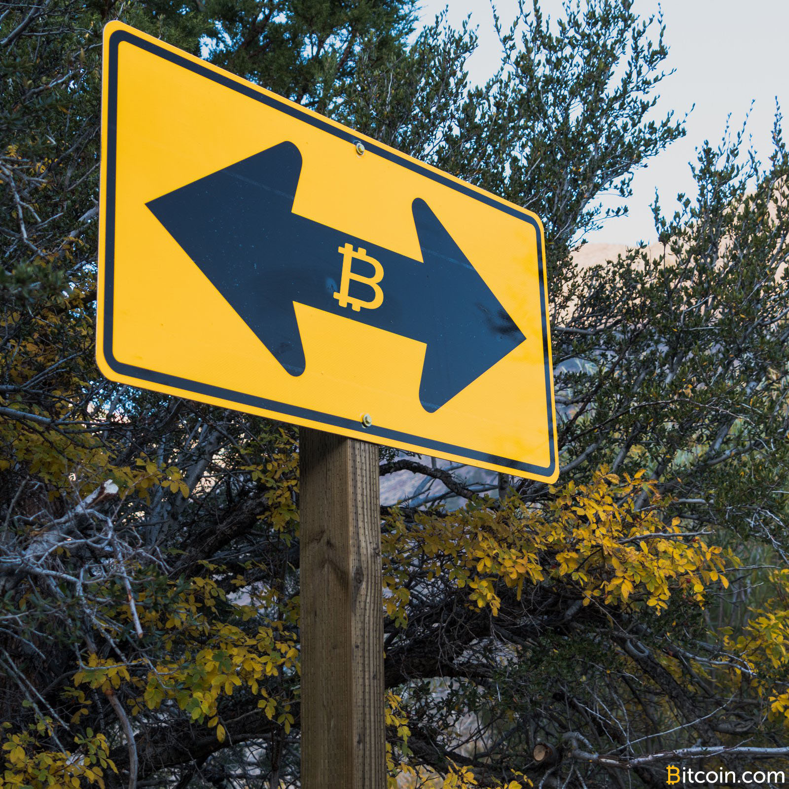 Follow This Branch: A Guide to Splitting BCH and BSV