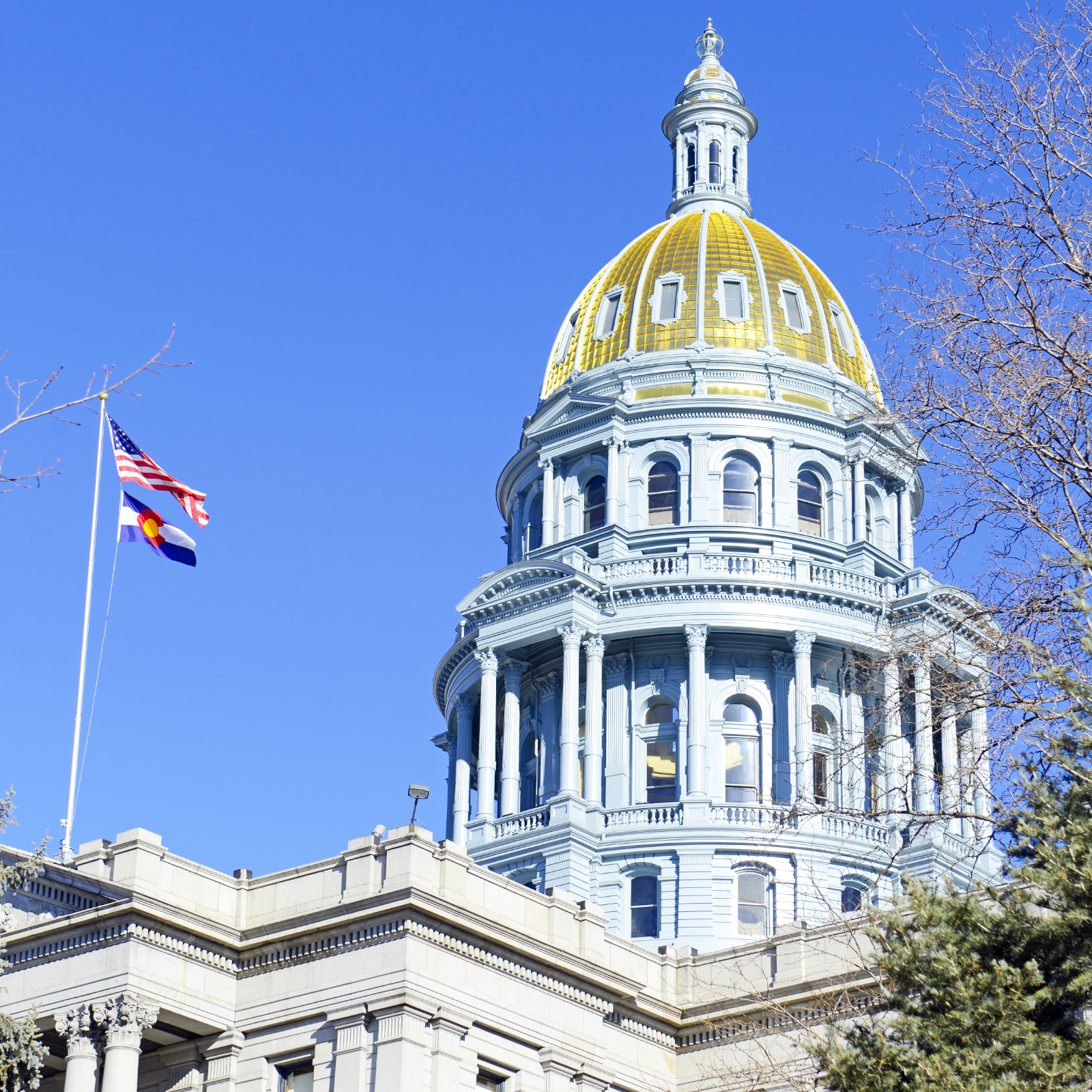 Colorado Takes Action Against Four More ICOs - 12 in Total