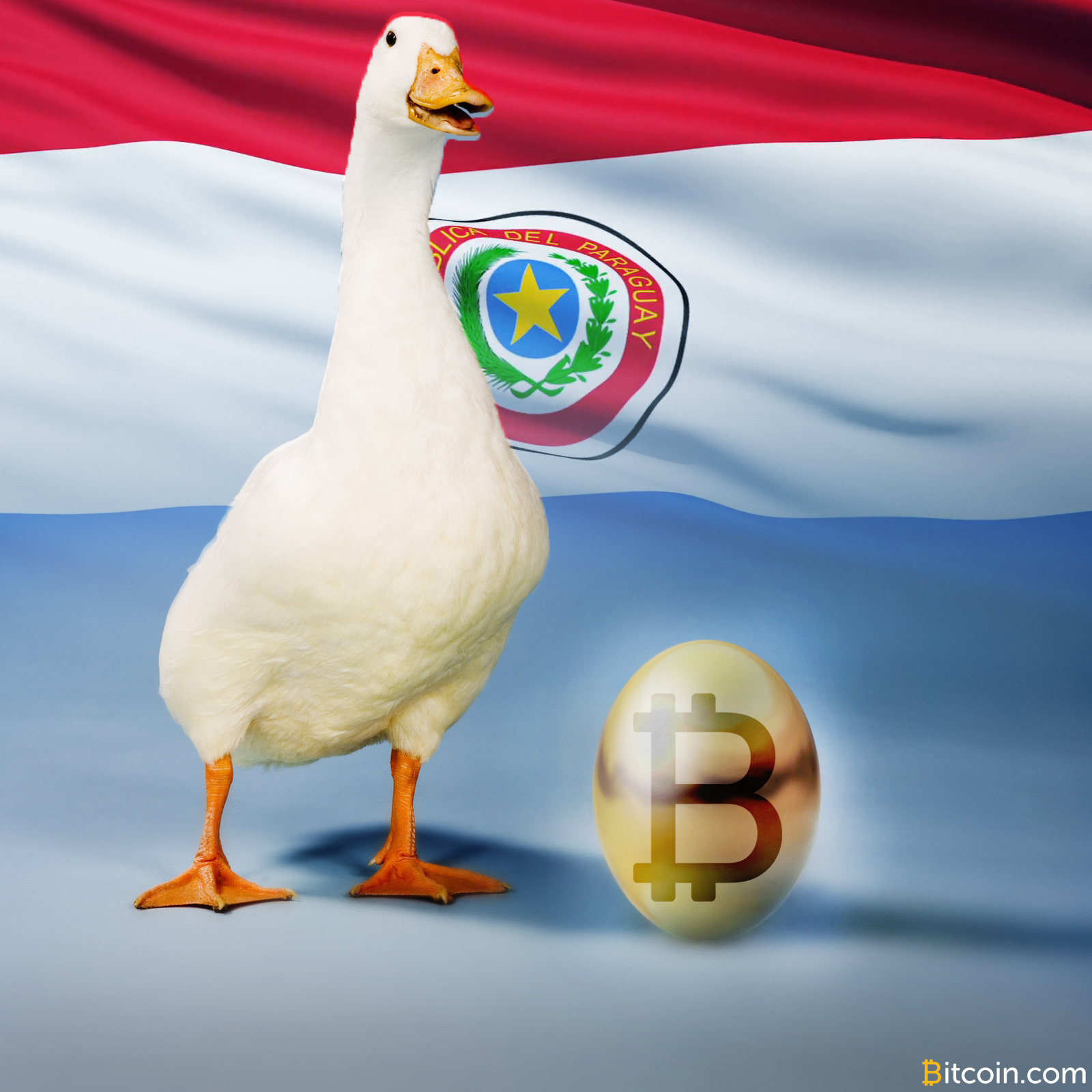 Paraguay to Provide Land for 'Golden Goose' Mining Project