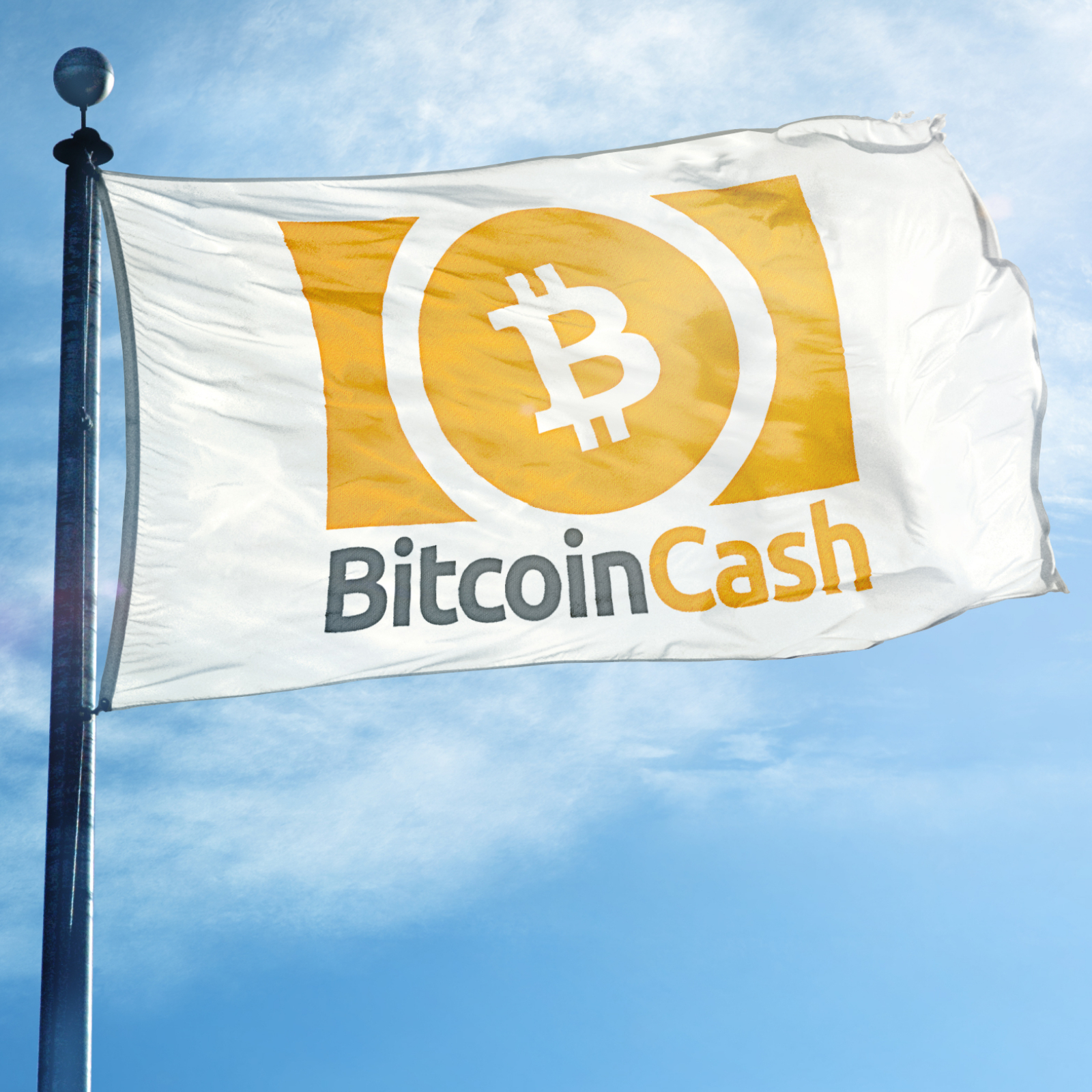 Markets Update BCH Rallies XRP Rivals ETH Market Cap