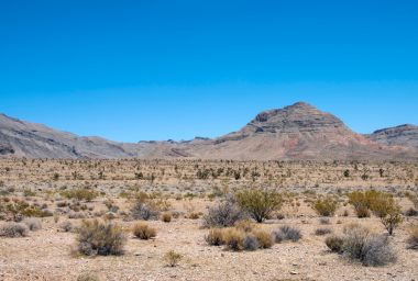 Lawyer Invests $300 Million to Build Crypto City in the Nevada Desert