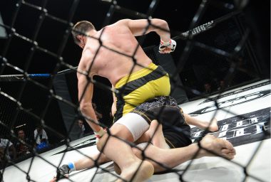 The Daily: UFC 232 to Have Official Crypto Partner, 5% of Israelis Use Bitcoin