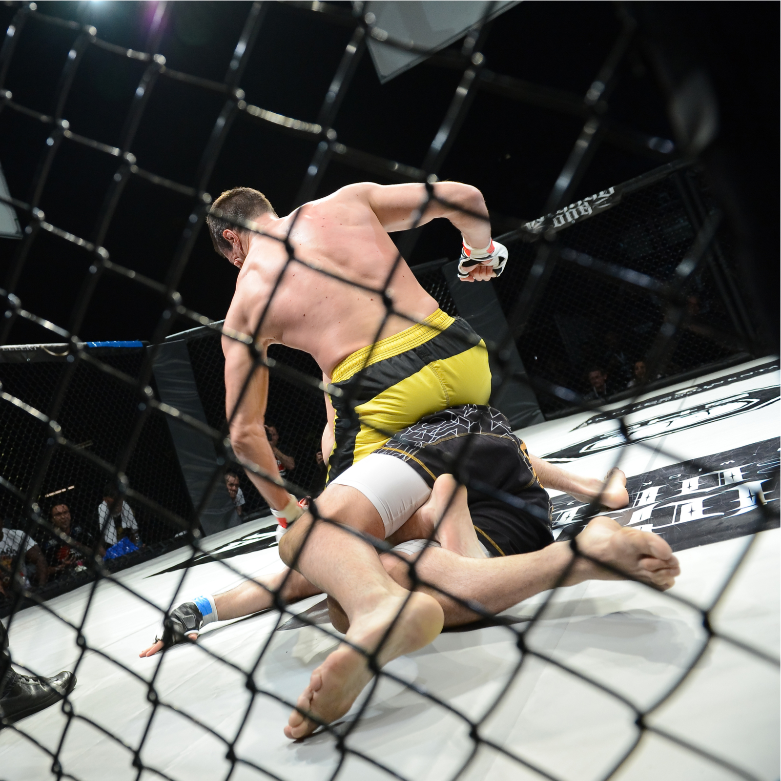 The Daily: UFC 232 to Have Official Cryptocurrency Partner, 5% of Israelis Use Crypto