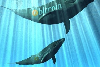 Previously Inactive Whales Are Moving Large Amounts of BTC