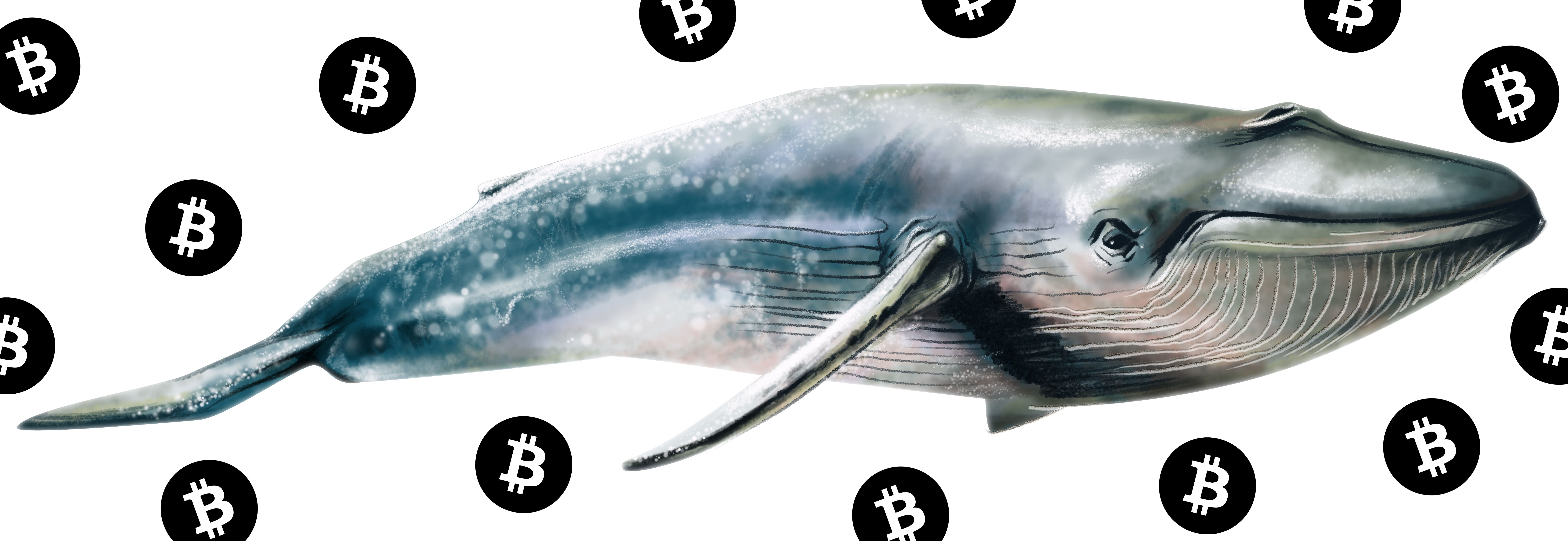 Previously Inactive Whales Are Moving Large Amounts of BTC