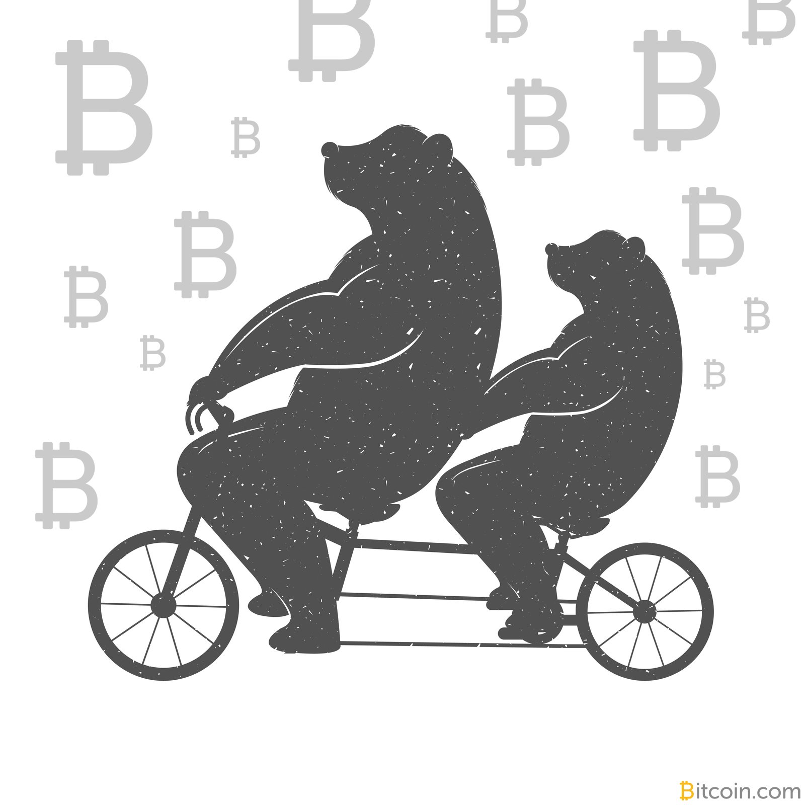 Два медведя на велосипеде