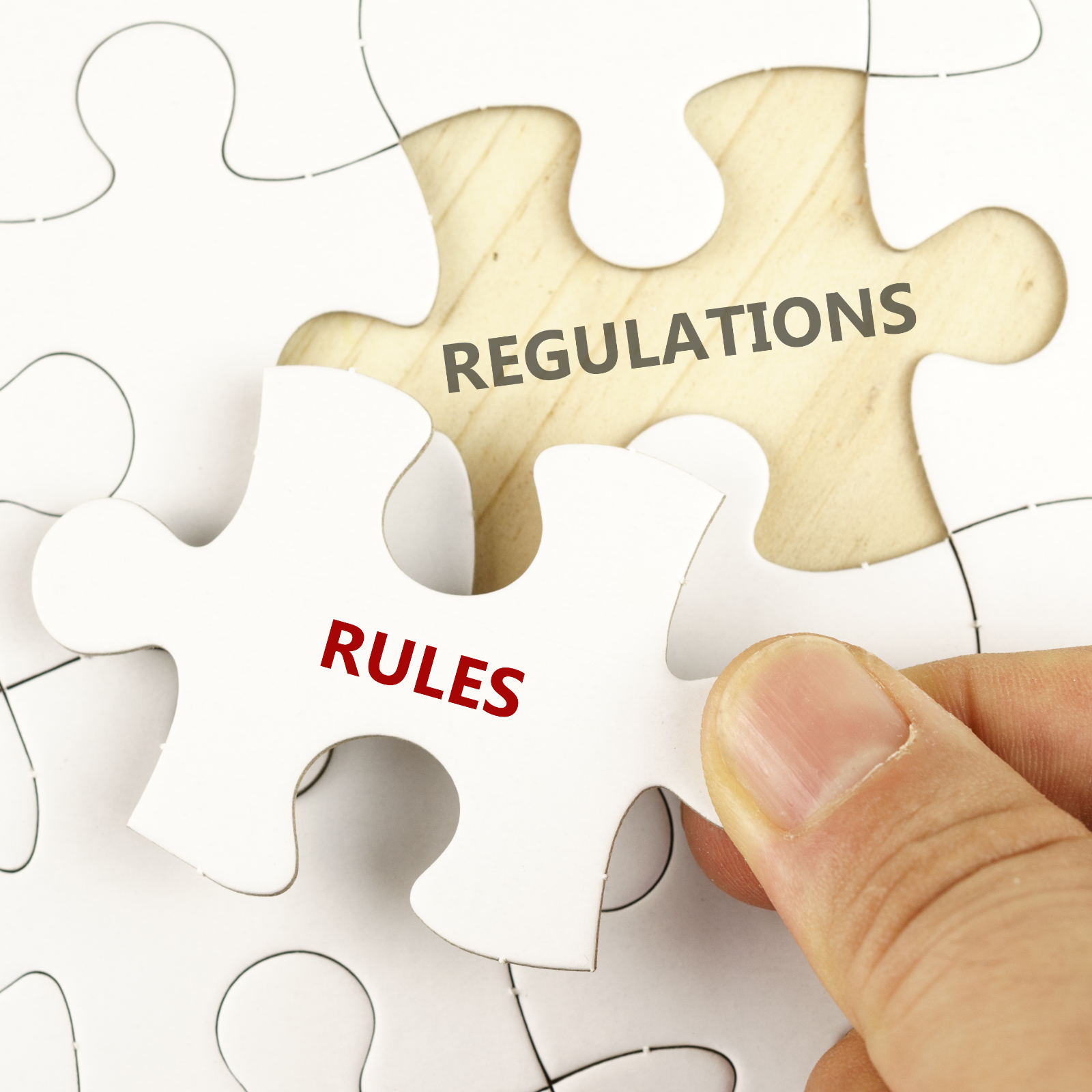 Japanese Regulator Publishes Proposed Rules for Cryptocurrency Service Providers