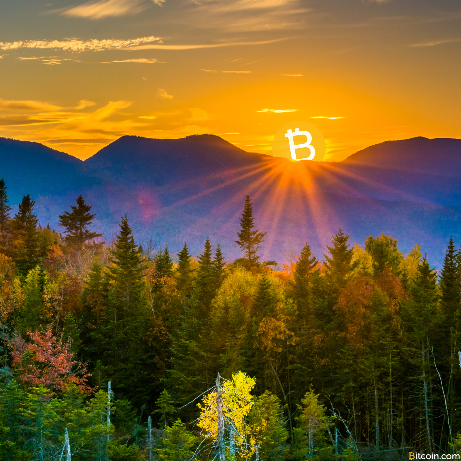 New Hampshire House Subcommittee Approves Bitcoin-for-Taxes Bill
