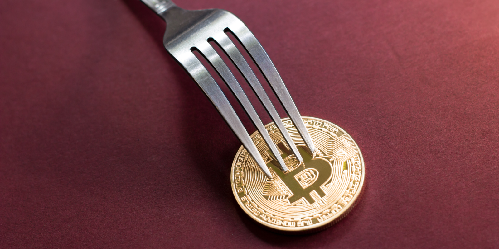 Active Development for Most Bitcoin Forks Evaporates