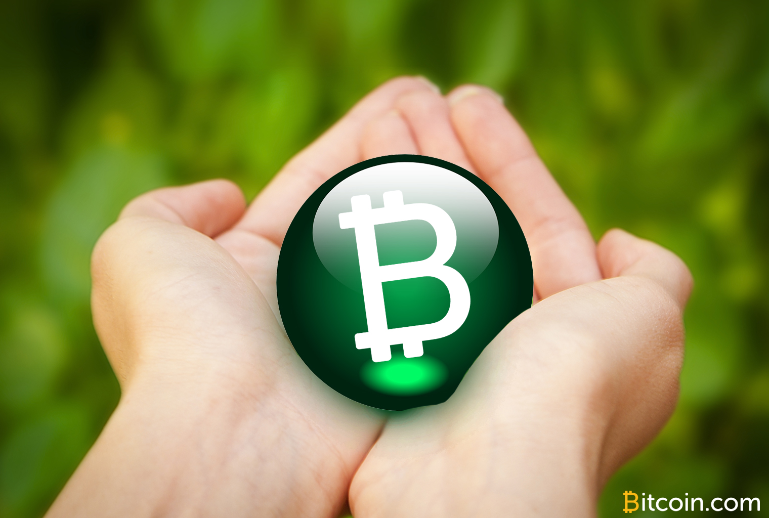 Crescent Cash BCH Wallet Features SLP Token Support for Mobile Phones