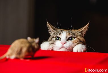 Bitcoin Cash Privacy Has Improved in Leaps and Bounds