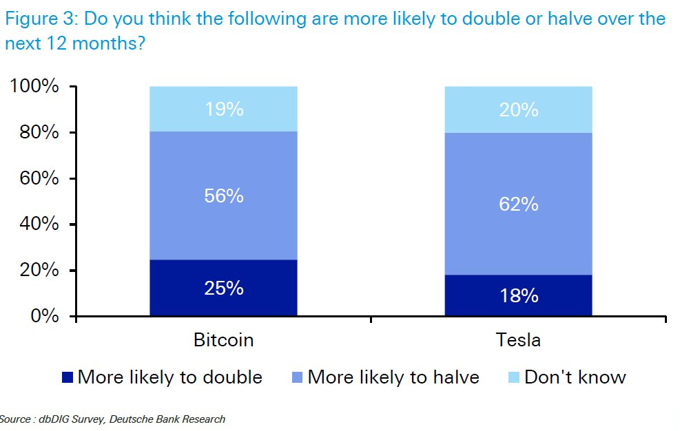 Bitcoin Near 'Extreme Bubble' but Tesla More Vulnerable: Deutsche Bank Survey