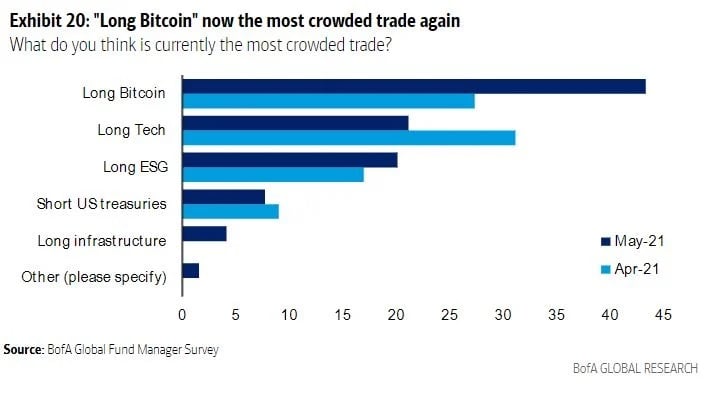 bitcoin trader dragons den daily mirror