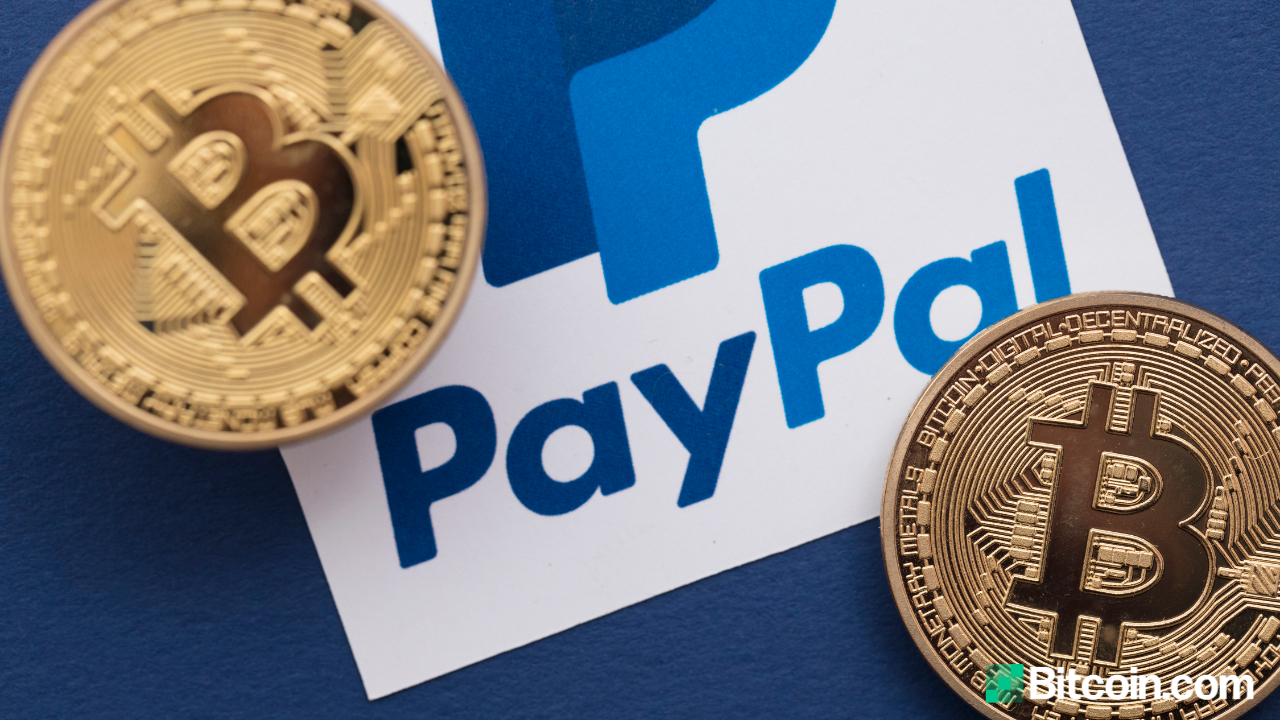 Paypal bitcoins how to manage cryptocurrency portfolio